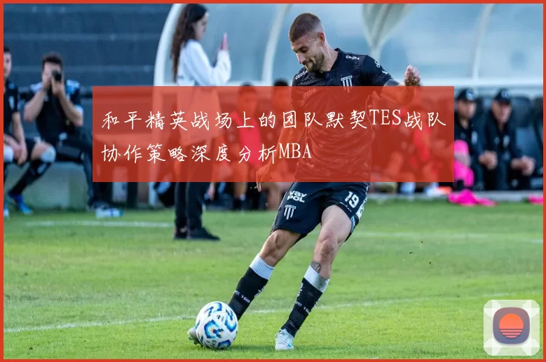 和平精英战场上的团队默契TES战队协作策略深度分析MBA