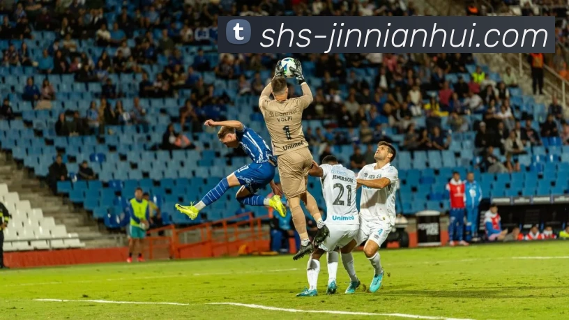 今年会体育平台生态图